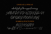 Modern Sensation | Pair Font, a Handwritten Font by typeline studio (Thumbnail 13 of 14)