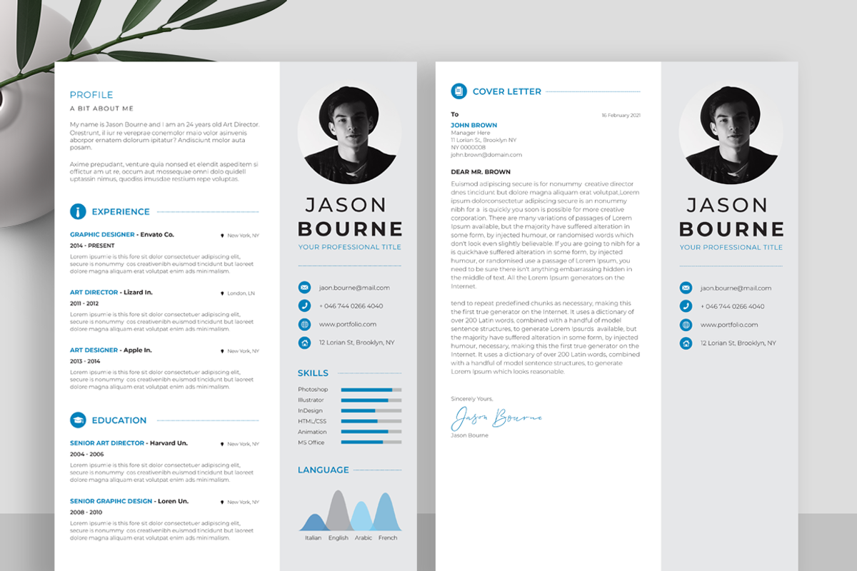 Info-graphic Resume/CV, a Resume Template by UX-group (Photo 2 of 5)