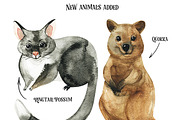 Australian Mainland-illustration set, an Animal Illustration by KatBranchArt (Thumbnail 3 of 5)