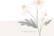 WATERCOLOR DAISY / illustration set, an Illustration by KruthDesign (Thumbnail 3 of 7)