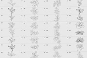 Procreate flower stamp, a Brush Add-On by AnnaPolitmerskaja (Thumbnail 3 of 4)