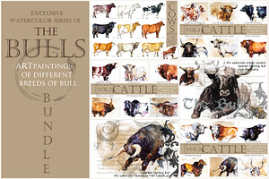 Cattle & Bulls Megabundle: 28 Breeds