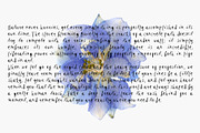 Ink & Clover. A Whimsical Font Duo, a Handwritten Font by PaperJamLab (Thumbnail 5 of 18)
