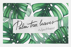 Palm tree leaves + patterns
