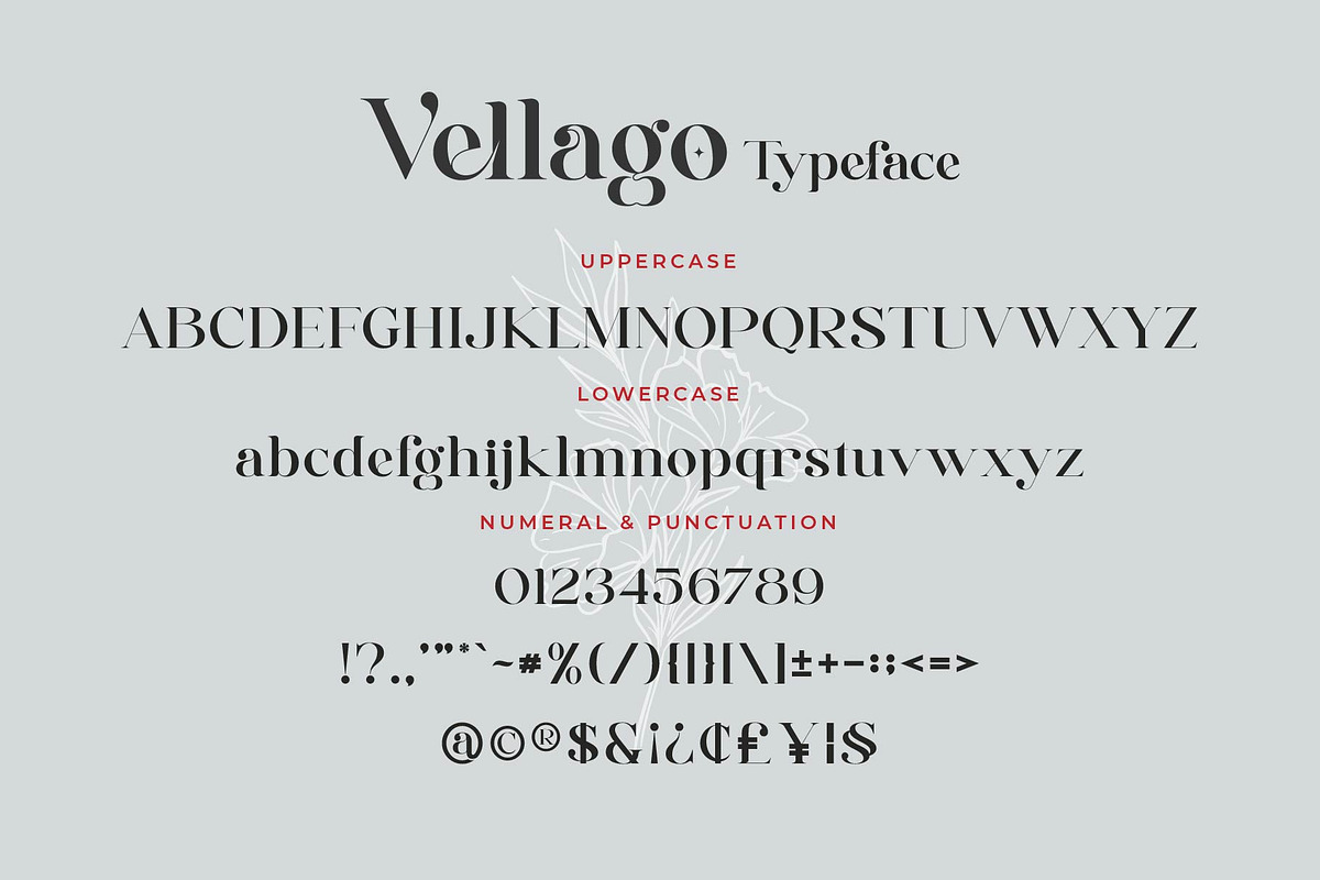 Vellago - Stylish Ligature Font, a Serif Font by Aqeel_Art (Photo 6 of 8)