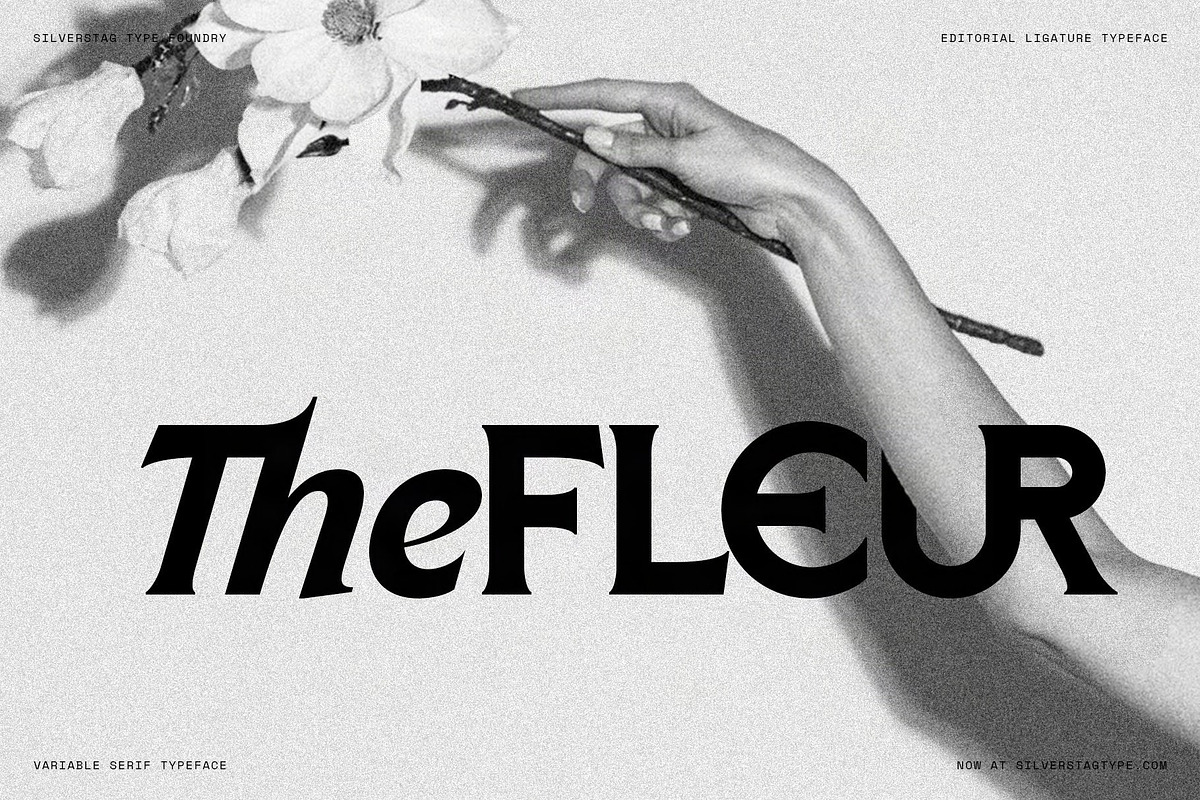 Arcilla — Variable Editorial Serif, a Serif Font by SilverStag Type Foundry (Photo 9 of 31)