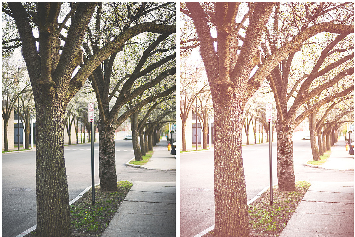 Lightroom Presets Spring In The Air, an Action Add-On by HappyNews (Photo 9 of 11)