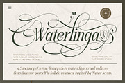 Dove and Goose Typeface, a Serif Font by alit design (Thumbnail 7 of 20)