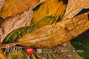 Broken Leaves 200 Transparent Object, an Object Graphic by nicholasasmita (Thumbnail 10 of 15)