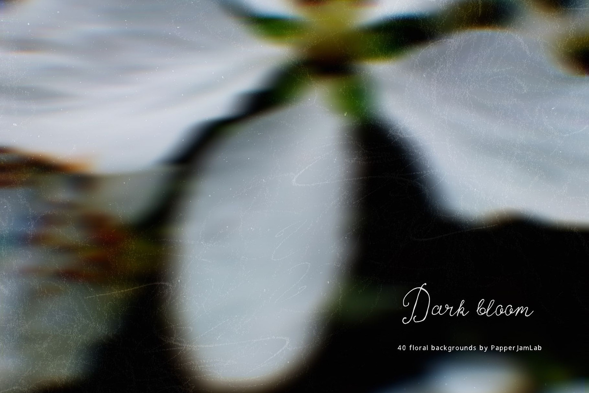 Dark bloom. Floral Backgrounds, a Background Graphic by PaperJamLab (Photo 3 of 14)
