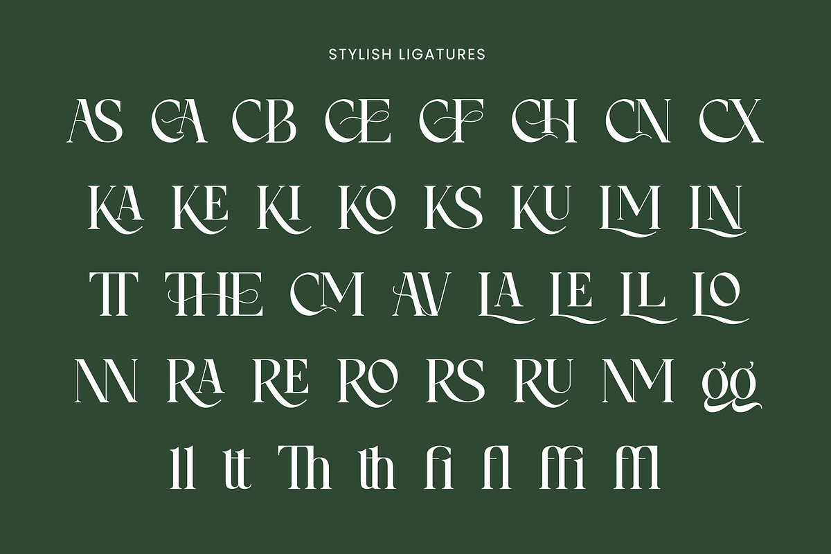 Ciparay, a Serif Font by HATFSTUDIO (Photo 9 of 9)