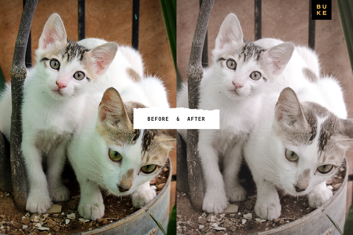 Le Natures Neutral Lightroom Presets, a Preset Add-On by SHOOM HOUSE (Photo 6 of 7)