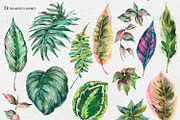 Tropical leaves graphic pack, an Illustration by Belusuab (Thumbnail 3 of 16)