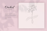 Orchid #26. Line Art Illustration, a Decorative Illustration by lapi-olesya (Thumbnail 1 of 3)