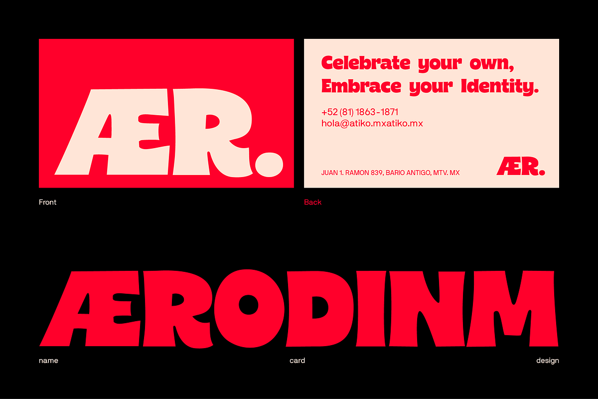 Carity Font – Bold Modern Display, a Serif Font by Koplexs Studio (Photo 3 of 12)