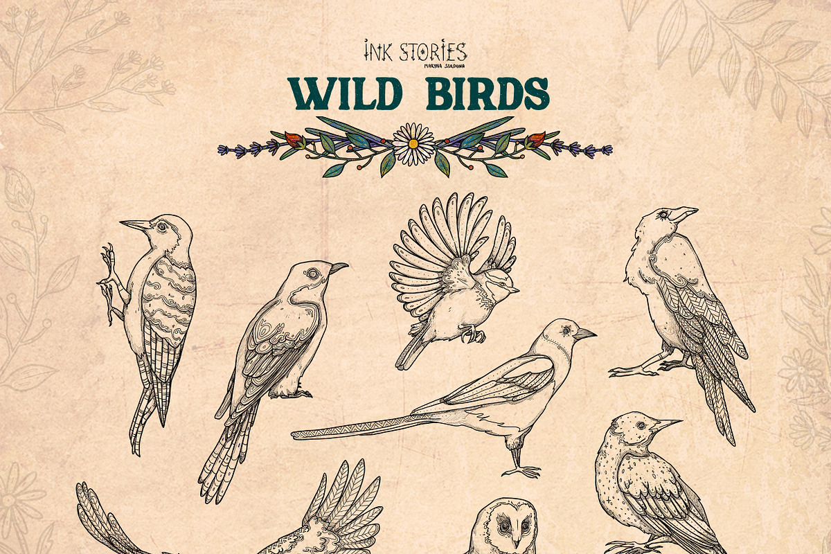 Wild Birds, an Animal Illustration by Ink Stories (Photo 4 of 20)