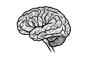 Brain Tree Knowledge Design Bundle, an Illustration by Gaye Art (Thumbnail 14 of 31)
