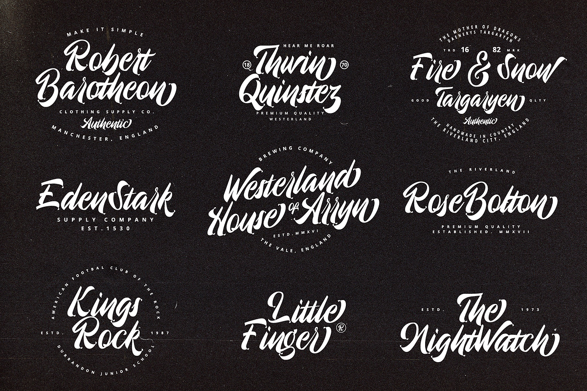 Brancifolia, a Script Font by ilhamtaro (Photo 4 of 11)