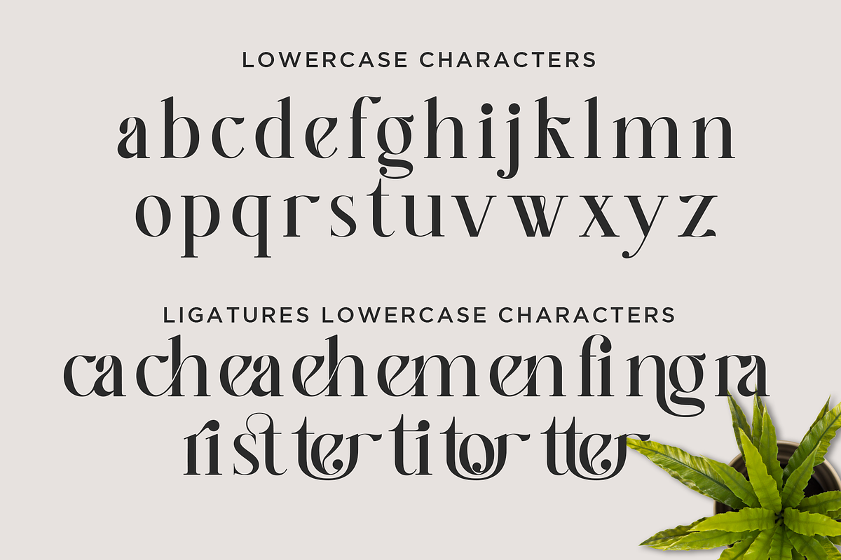 Better Authentic - Absonstype, a Serif Font by Absonstype (Photo 8 of 12)