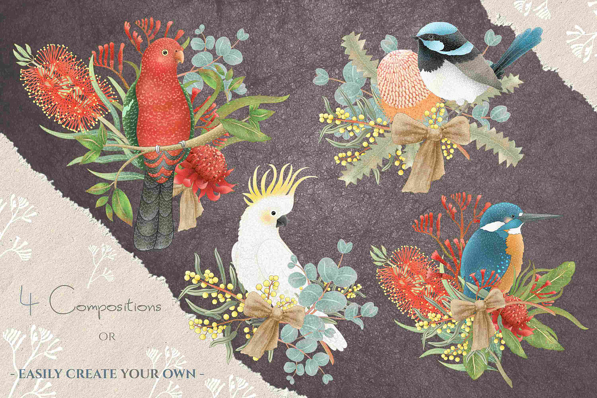 Australian Birds & Flowers, an Animal Illustration by Jen Digital Art (Photo 7 of 7)