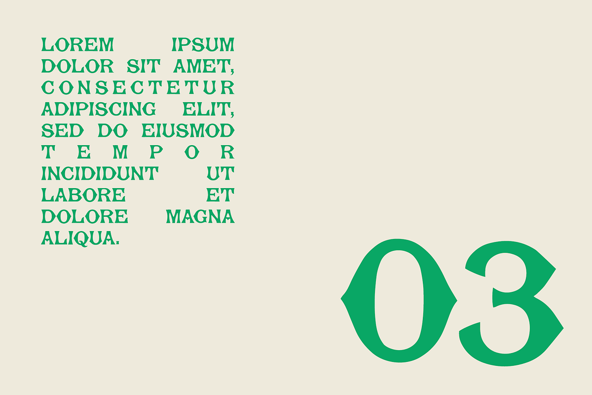 Baltimore | Serif Display Font, a Serif Font by Rough Patch Studio (Photo 3 of 7)
