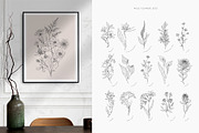 Wildflowers collection, a Decorative Illustration by Merfin (Thumbnail 4 of 11)