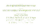 Renabyl - Serif Family Font, a Serif Font by Rishsketch (Thumbnail 4 of 15)