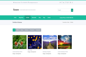 Tucano HTML5 Responsive Template