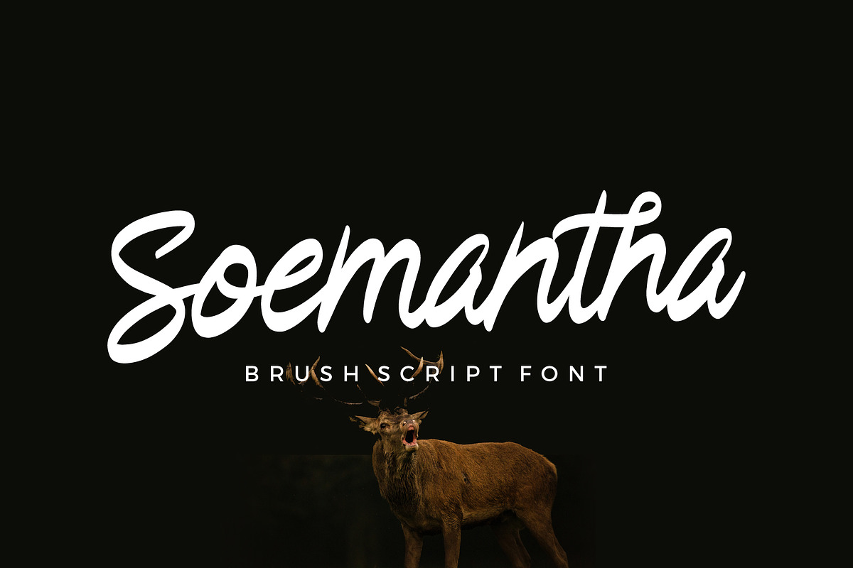 Sale - Handwritten Font Bundle, a Script Font by trustha (Photo 77 of 84)