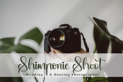 Qianetta, a Script Font by Integritype Studio (Thumbnail 2 of 15)