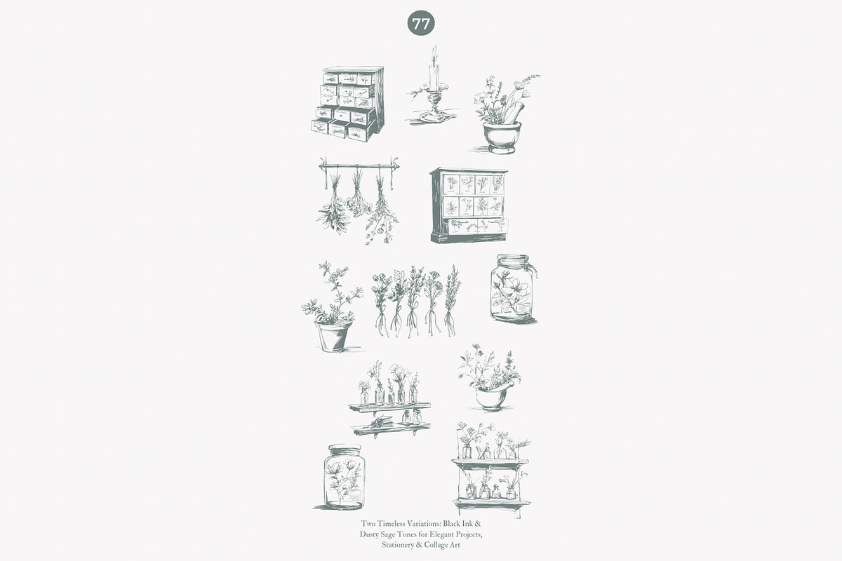 apothecary clipart vintage collectio, a Decorative Illustration by Patishop Art (Photo 10 of 10)