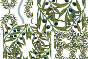 Mediterranean olive branch set, a Pattern Graphic by NayaChu (Thumbnail 10 of 11)