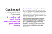 Pano Slab Condensed & Semi Condensed, a Slab Serif Font by artisans (Thumbnail 2 of 8)