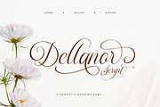 Dellanor Script - A Wedding Font, a Script Font by Ainun Jinan (Thumbnail 1 of 10)