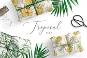 Tropical mix. 24 patterns, a Pattern Graphic by OJardin (Thumbnail 4 of 4)
