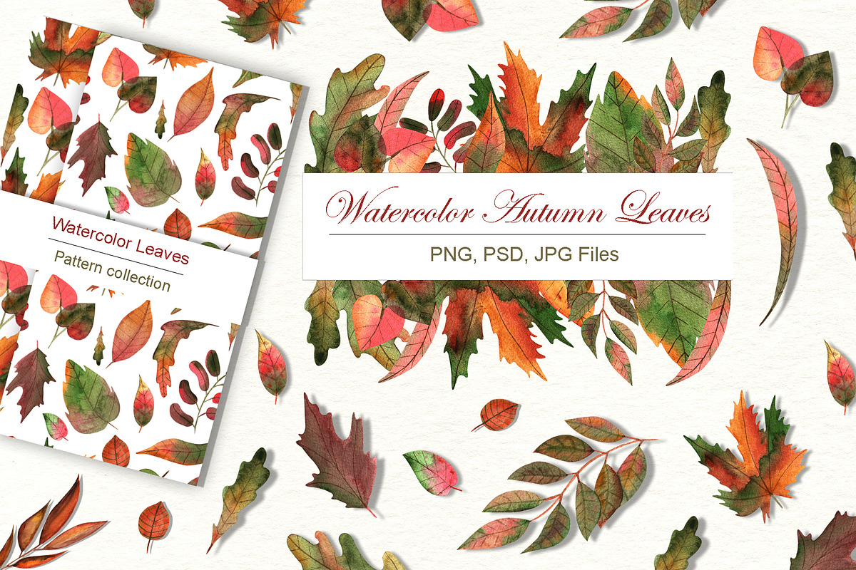 Watercolor Autumn Leaves, an Illustration by TanataDesign (Photo 1 of 6)