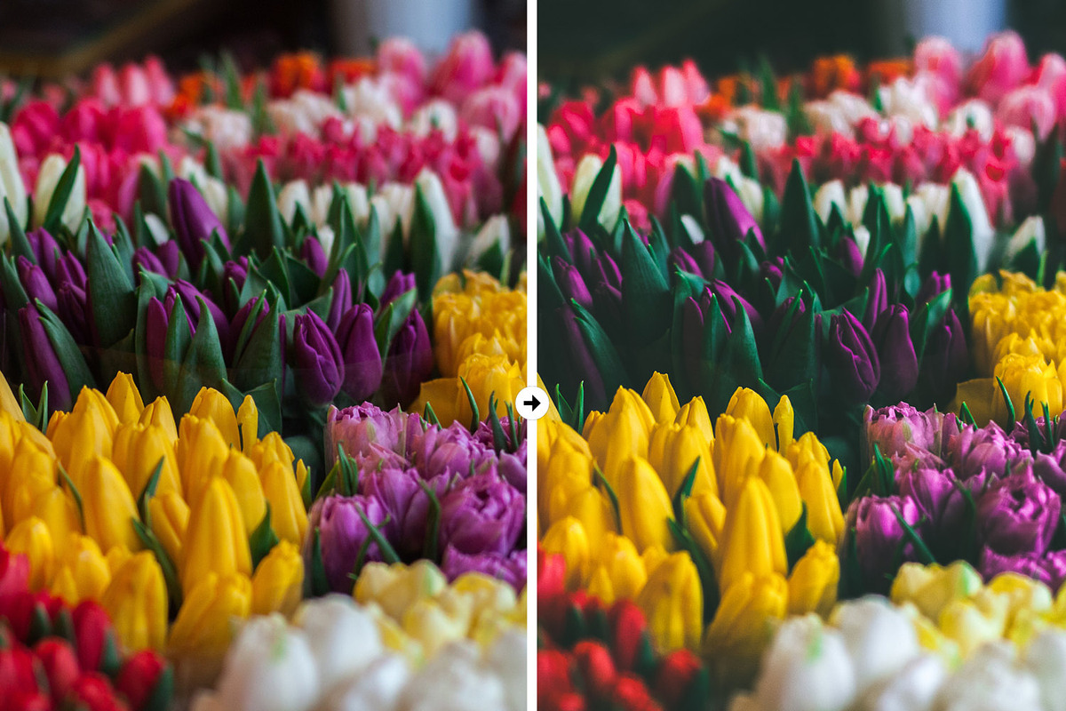 9 Nature Lightroom Presets, an Action Add-On by M E G A S E T S (Photo 4 of 5)