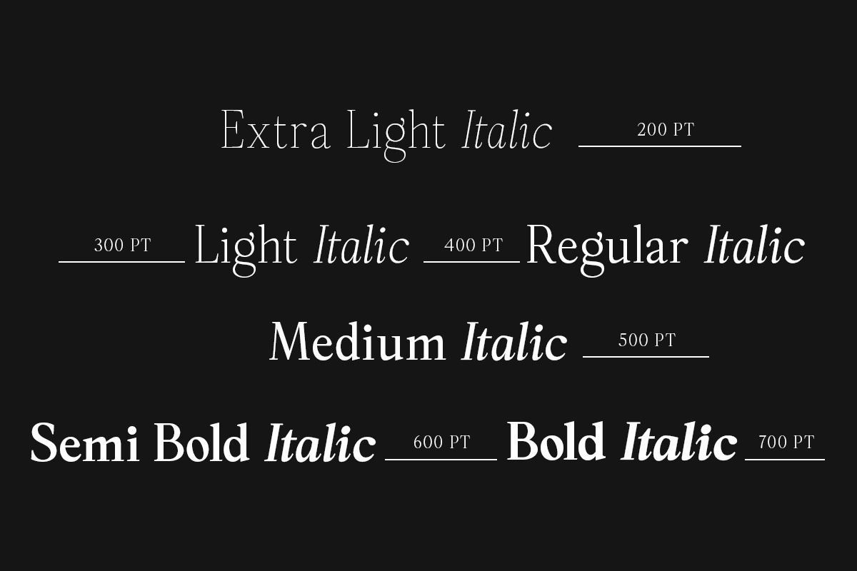 Panasea | 12 Fonts, a Serif Font by Skinny Type (Photo 4 of 15)