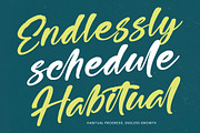 Higten Wasted Bold Handwritten Font, a Script Font by stylishtype.co (Thumbnail 8 of 20)
