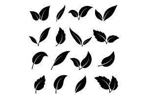 Leaf silhouette. Black leaves of, a Decorative Illustration by YummyBuum