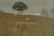 Dian Milena - Signature Script, a Script Font by Get Studio (Thumbnail 13 of 29)