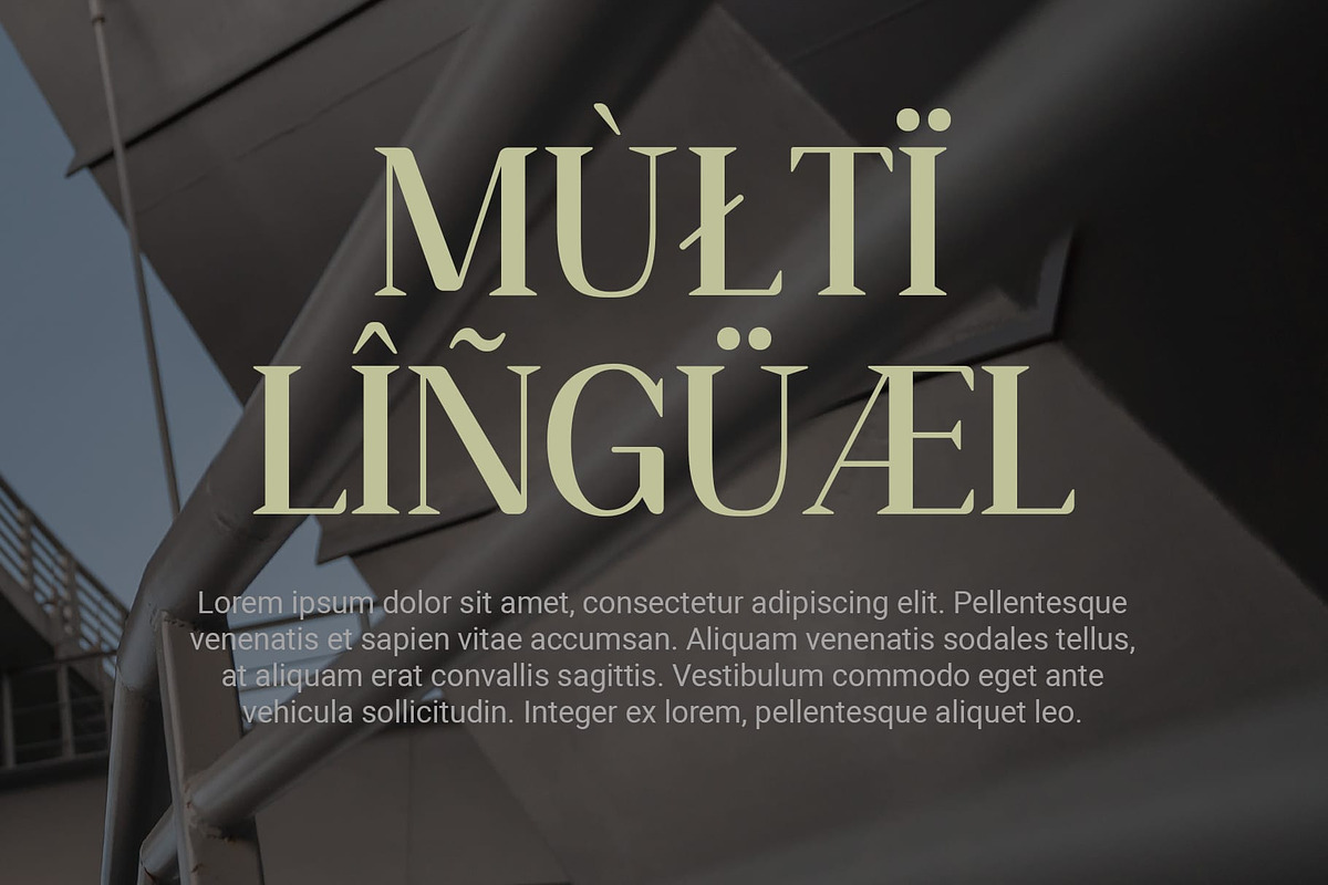Heidan Rounded, a Serif Font by Craft Supply Co. (Photo 5 of 8)