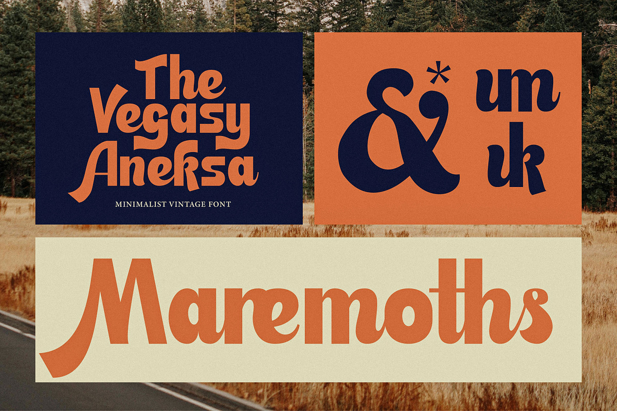 Austin Shocks, a Script Font by Rahagita Studio (Photo 2 of 12)