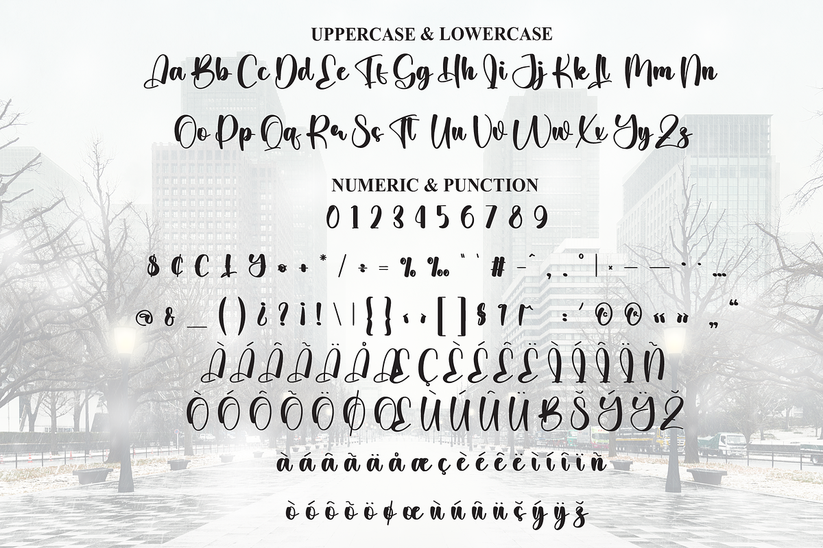 Winter City | Script Font, a Handwritten Font by Scratchones (Photo 7 of 9)