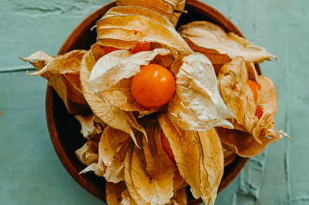 wooden plate with some ripe groundcherries, a Photo by Nito