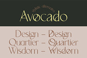 Avocado - Serif Font, a Serif Font by Anna Zakharchenko (Thumbnail 4 of 12)