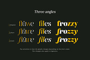 Retro Voice – Variable Serif Font, a Serif Font by Blessed Print (Thumbnail 27 of 29)