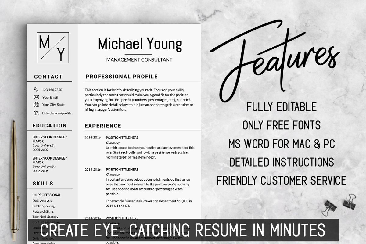 Professional Resume CV Template, a Resume Template by LevelUpResume (Photo 2 of 5)