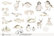 100 polar animal clip art, an Animal Illustration by Poppy Lane Studio (Thumbnail 2 of 12)