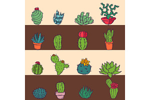 Cactus Home Nature Card Vector